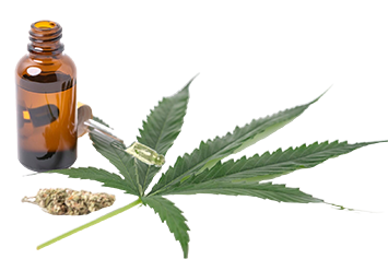 extractos-aceite-cannabis-frascos-hojas-cannabis-verde-marihuana-aislado-sobre-fondo-blanco-cultivo-marihuana-medicinal-hierbas
