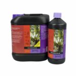 B’Cuzz-Booster-Coco-Universal