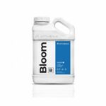 Bloom-B