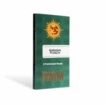 banana-punch-feminizadas-3-1