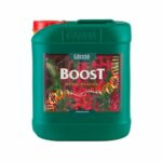 boost-accelerator