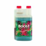 boost-accelerator