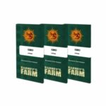 gmo-feminizadas-52