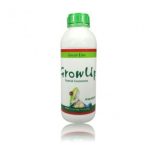 grow-up-green-line