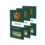 lemon-tree-feminizadas-52