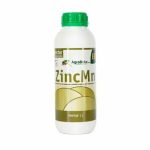 zinc-manganeso