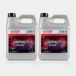 Impact-Bloom-A-B