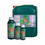 Magic-Green