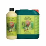 Algen-Extract
