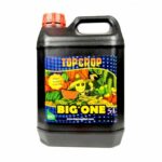 Big-One