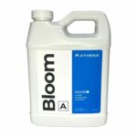 Bloom-A