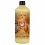 Cocos-B