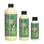 Magic-Green
