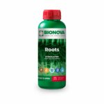 Roots