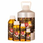 Roots-Excelurator-Gold