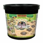 Top-Tabs