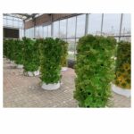 apponix-barrel-vertical-nft-torre
