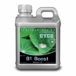 B1-Boost