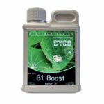 B1-Boost