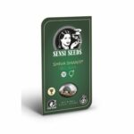 Shiva-Shanti-Regular