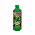 bloom-soil-b